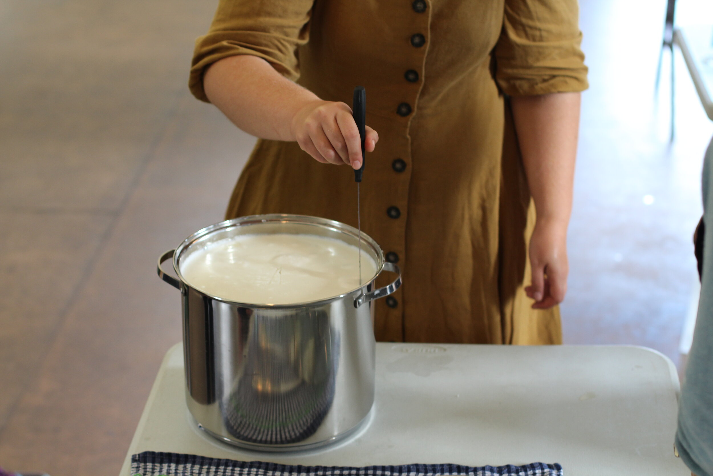 Milk Curd Cheese, Cheesemaking Workshop - Apr 18