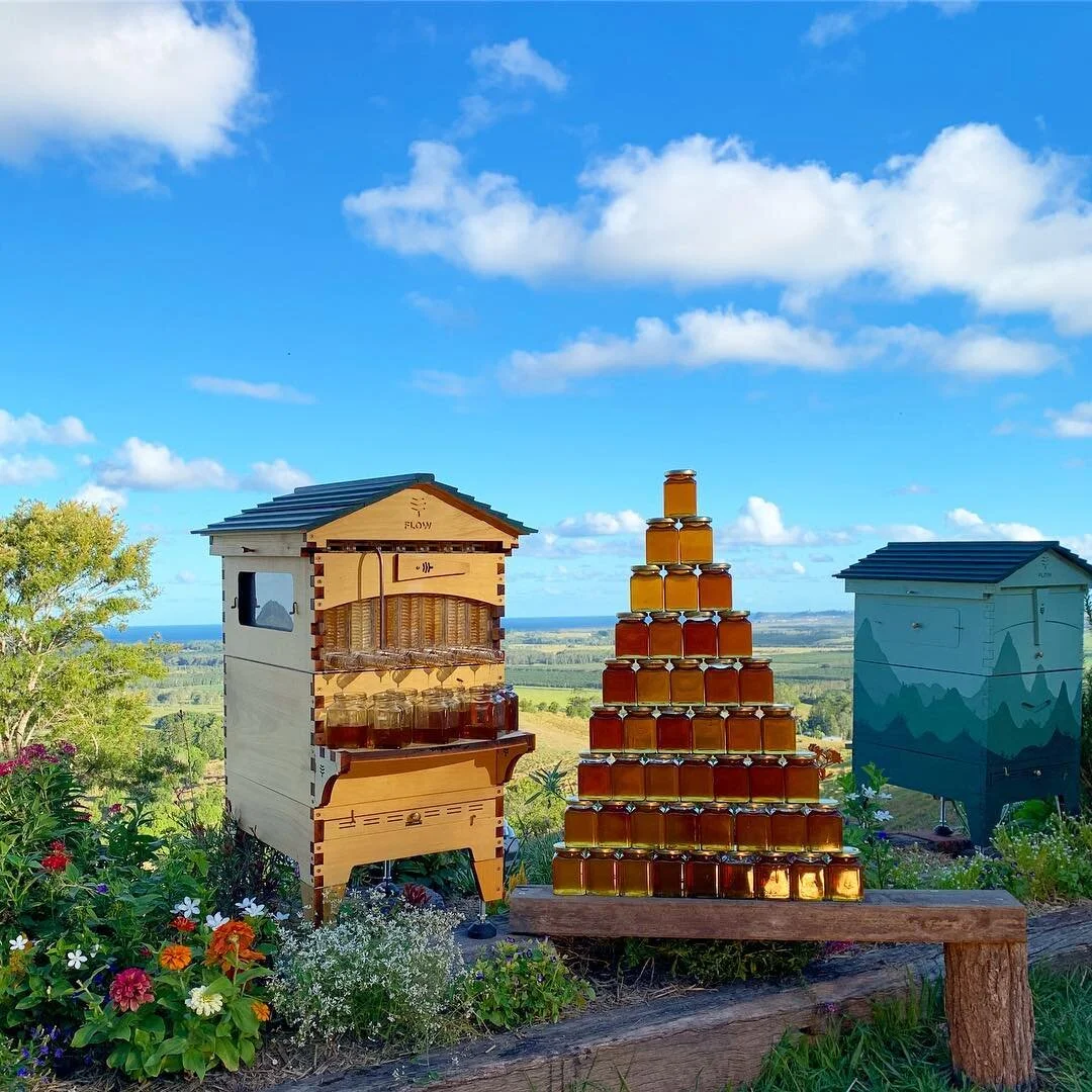 Flow Hive Taster - Jun 6