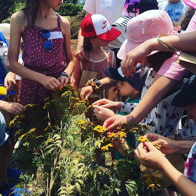 Today would have been our first workshop and we will dearly miss spending time with all the gorgeous Farm Kids. But rest assured we will be spending our time in isolation creating even more awesome and educational programs and workshops for the future. 
Stay safe and take care everyone until we meet again. Much love from the Farm Kids Family ❤️