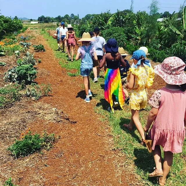 WATCH THIS SPACE!
Due to restrictions being eased it looks like we will be going ahead these July school holidays with our fabulous Farm Kids workshops @thefarmatbyronbay. Needless to say we are super excited as we&rsquo;ve missed you all!!! 🐷 👨&zwj;🌾 🥦 🦋🐝🌺. Brought to you by KidzKlub Australia