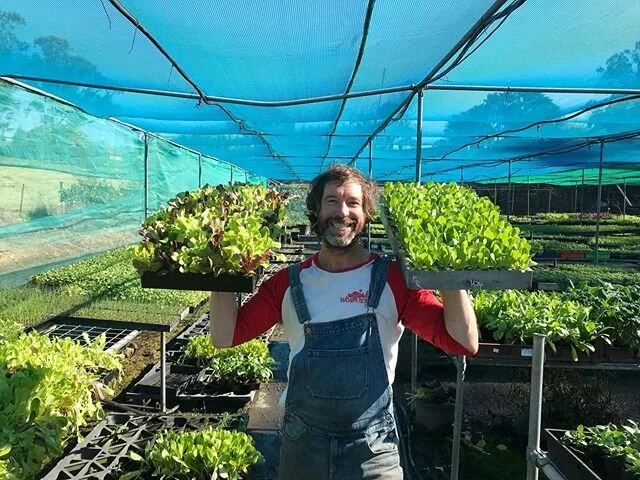 Same same but different but a different location ✈️
See you tomorrow @thebeachesmarket and we will also be re stocking @newleafnursery 💚🤩#organicseedlings #organicaf #organicgardening #growyourownfood #thebeachesmarket #newleafnursery #wormticklers