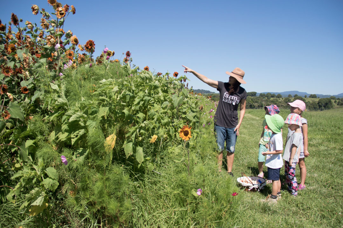 Farm Kids Mini Farmers Program – The Sun 