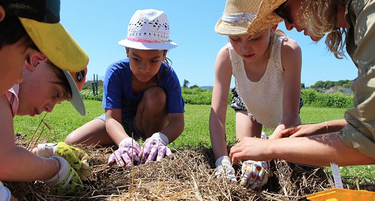 FARM KIDS MINI FARMERS PROGRAM