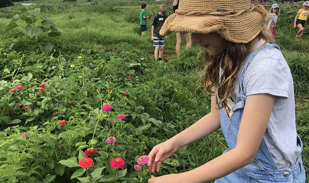 Farm Kids School Holiday Flowers Workshop 