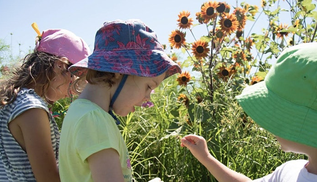 Farm Kids School Holiday Native Bees Workshop 
