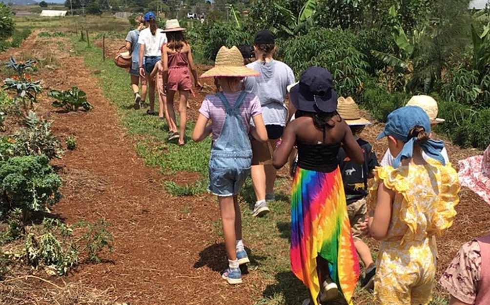 Farm Kids School Holiday Veggies YUM!! Workshop 