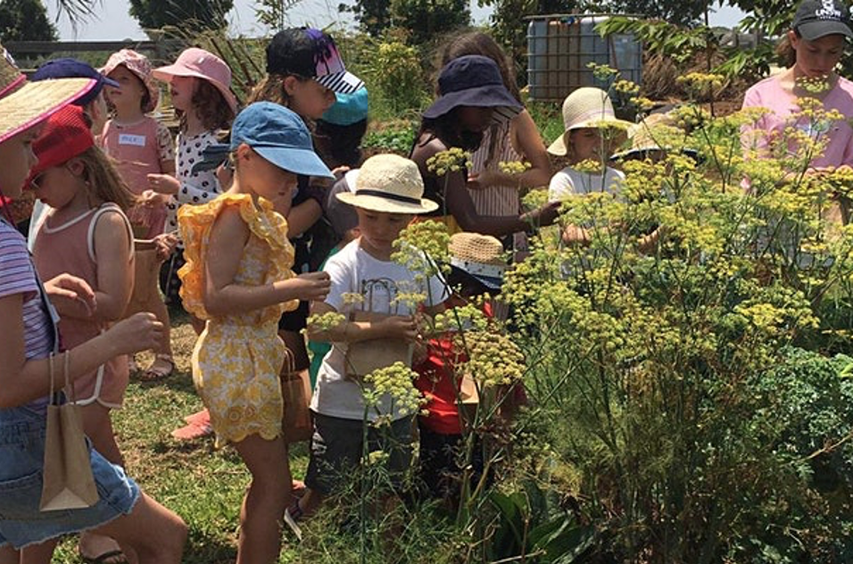 Farm Kids School Holiday Bees Workshop
