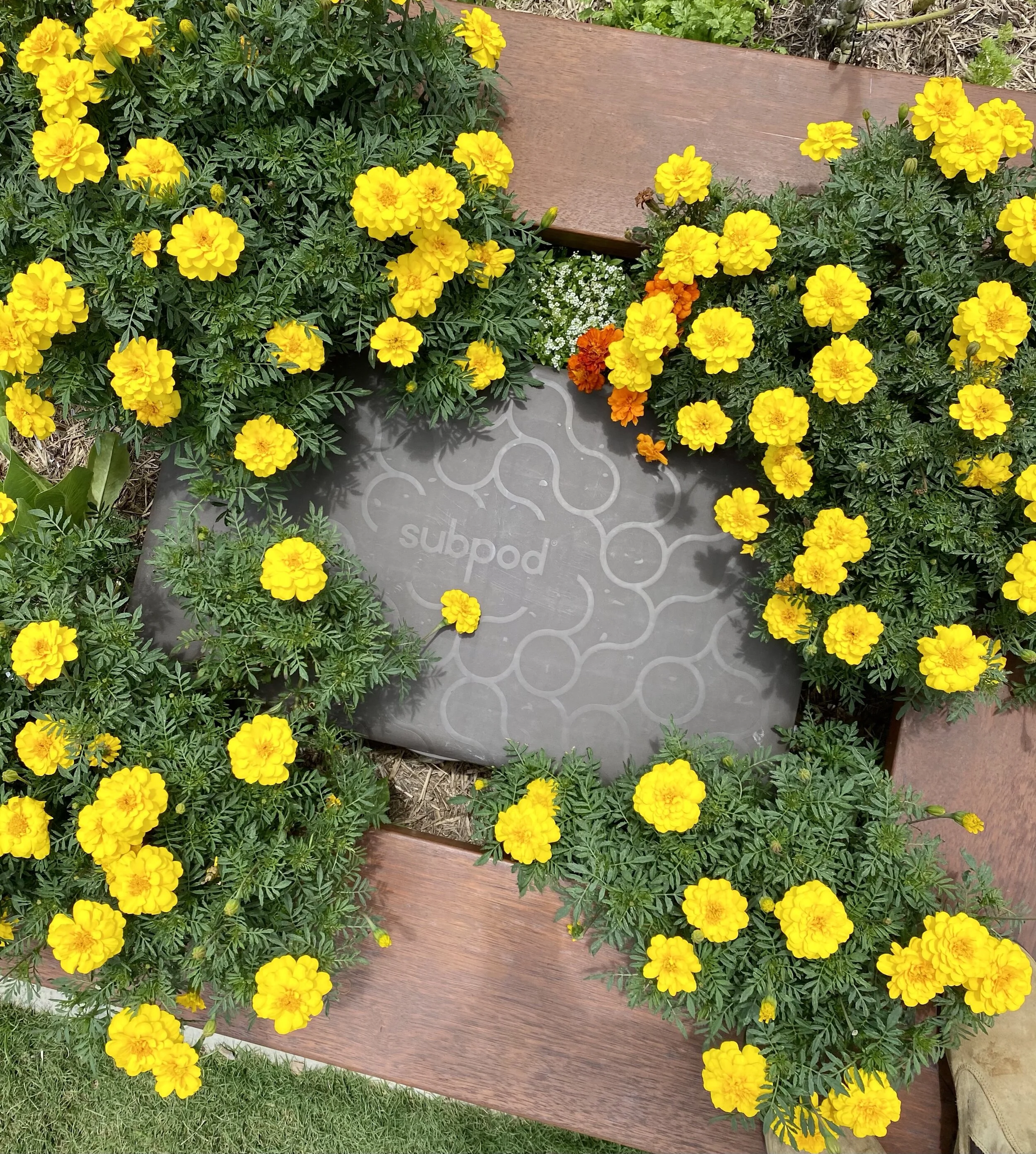 Composting 101 with Subpod