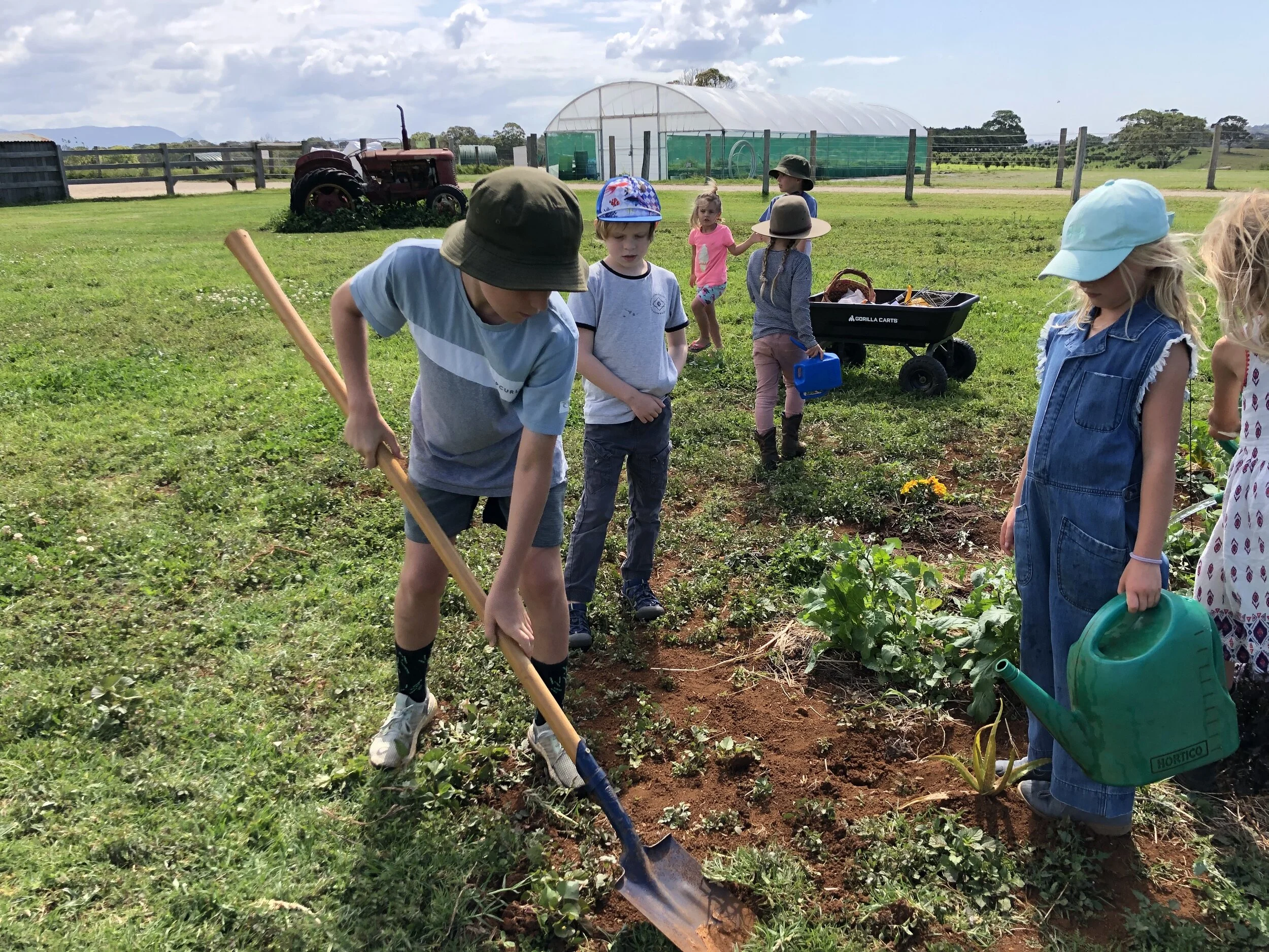 FARM KIDS MINI FARMERS PROGRAM – VEGGIES
