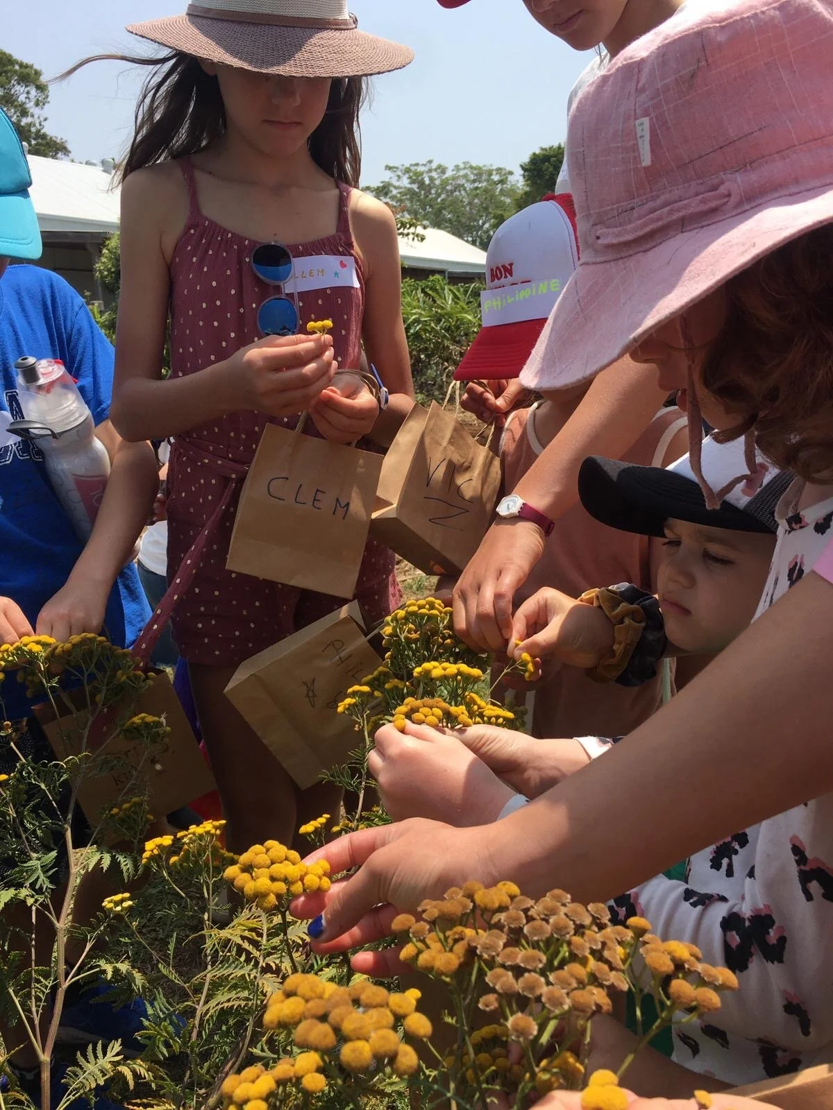 FARM KIDS MINI FARMERS PROGRAM – MEDICINAL HERBS