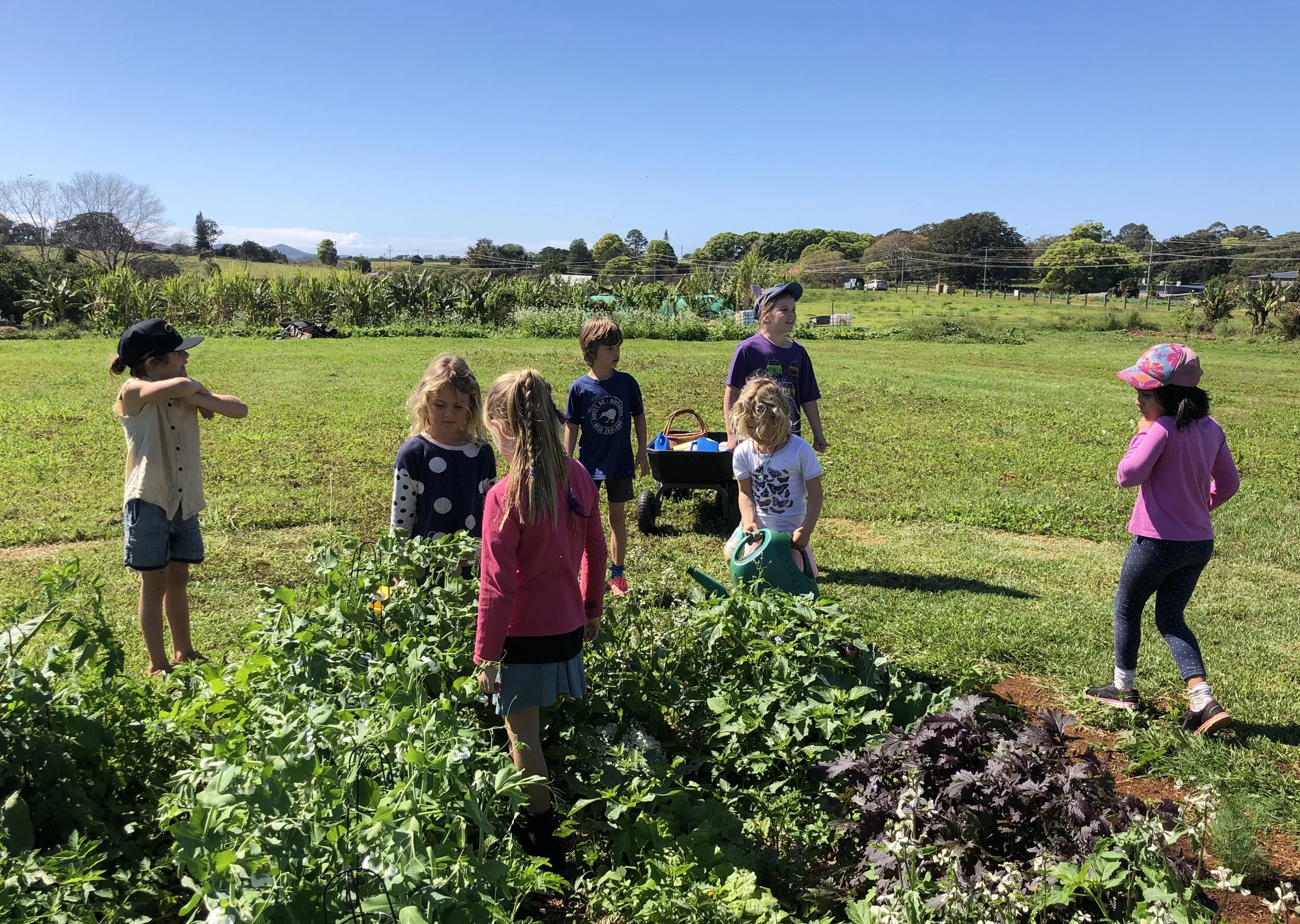 FARM KIDS MINI FARMERS PROGRAM – SUSTAINABILITY