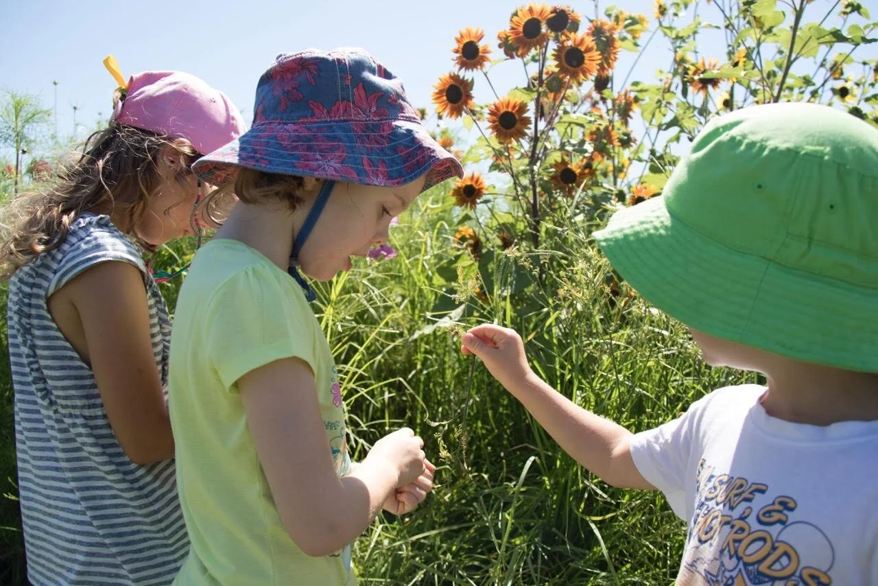 FARM KIDS MINI FARMERS PROGRAM – NATIVE BEES