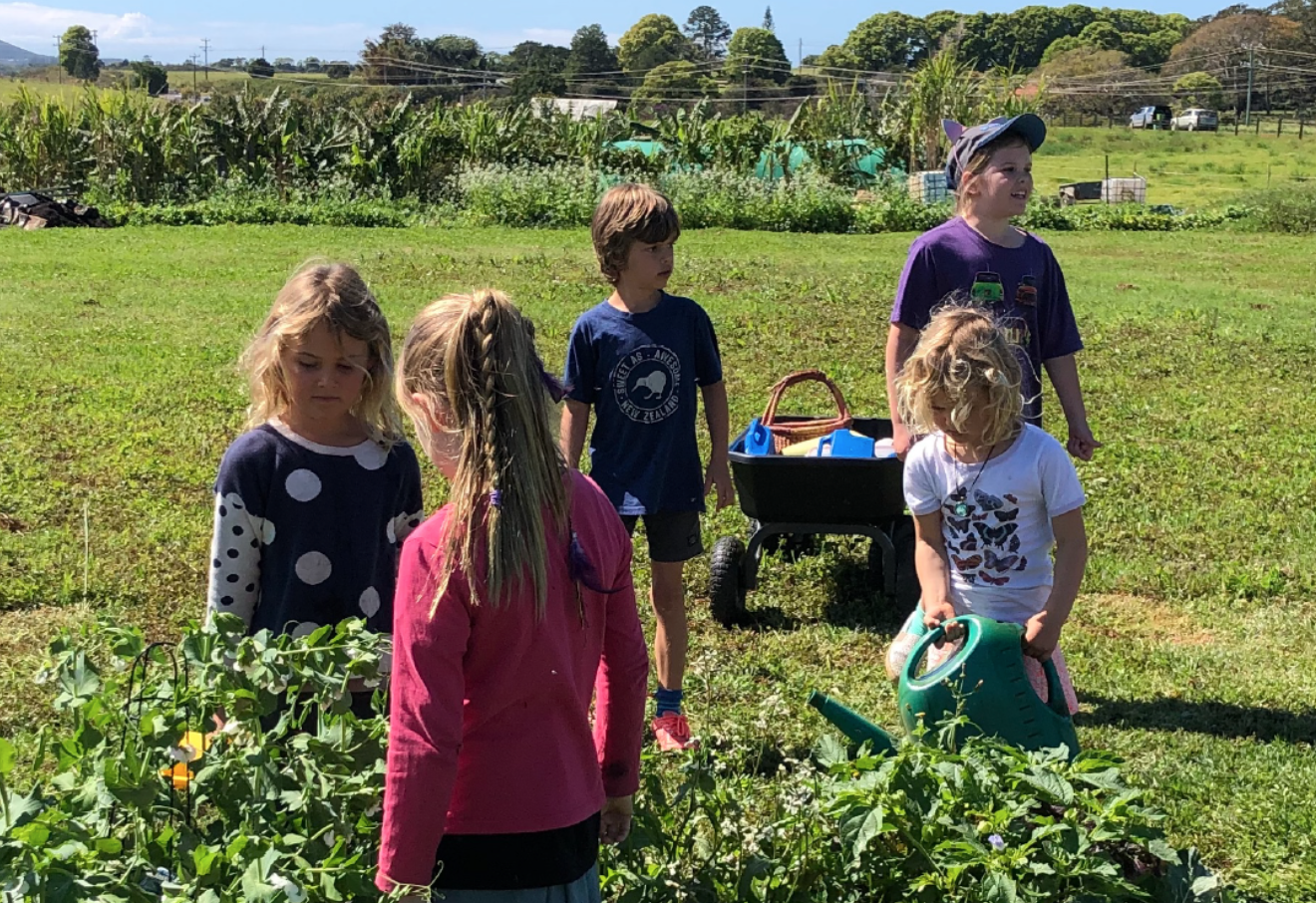 FARM KIDS - MINI FARMERS THURSDAY SESSIONS (TERM BOOKING - 9 SESSIONS - 50% OFF)