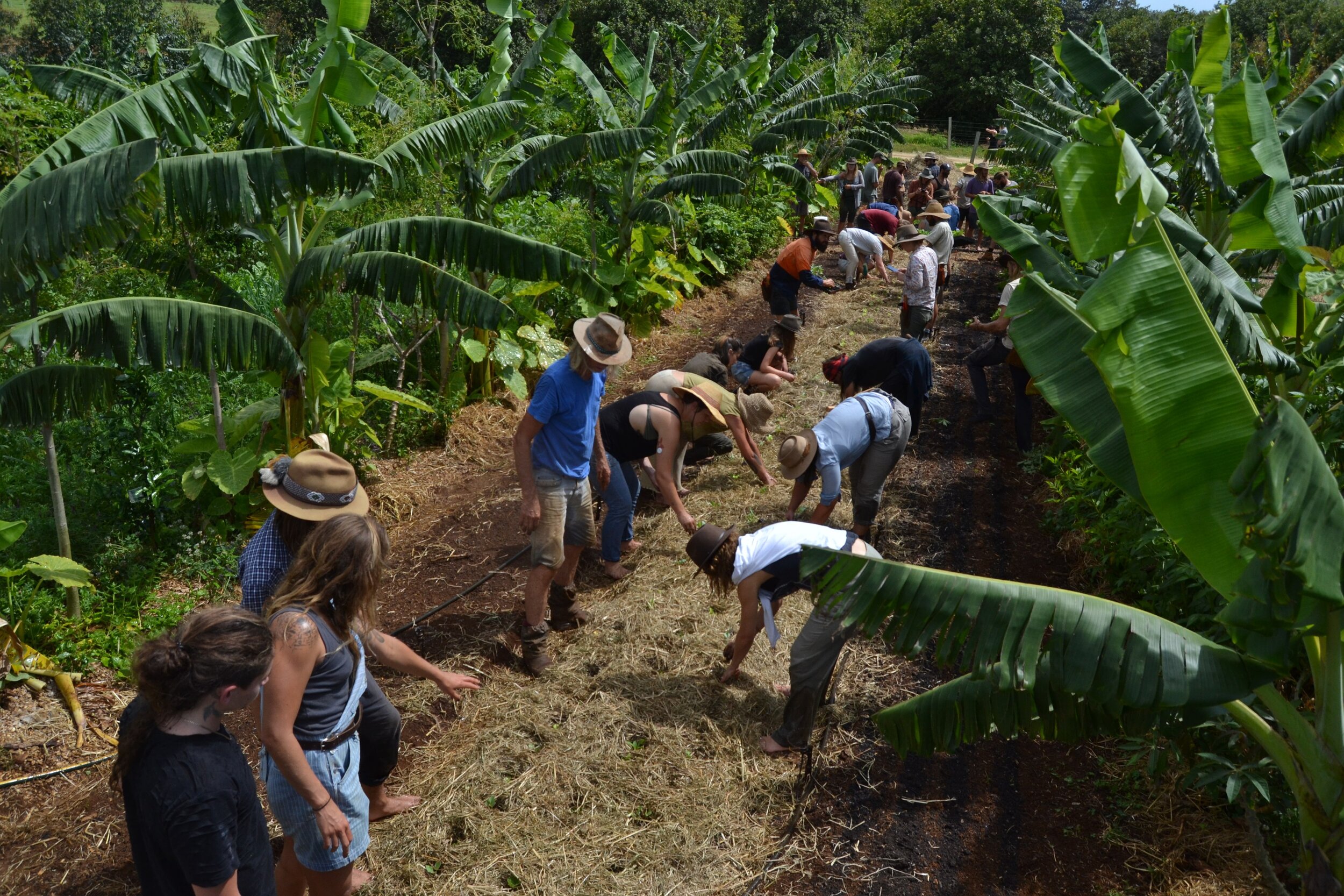 Living Agroecology 2021 #2 promo shot.jpg