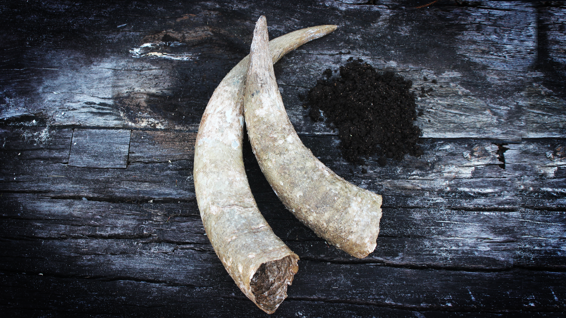 Introduction to Biodynamics - 2 Day