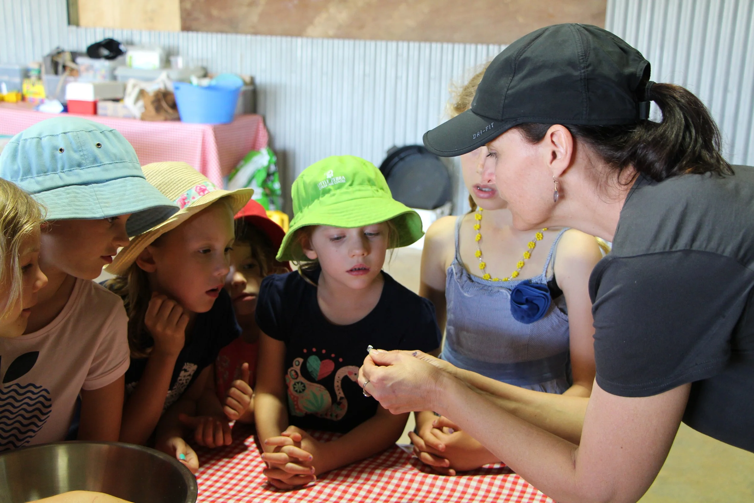 Farm Kids School Holiday Seeds Workshop