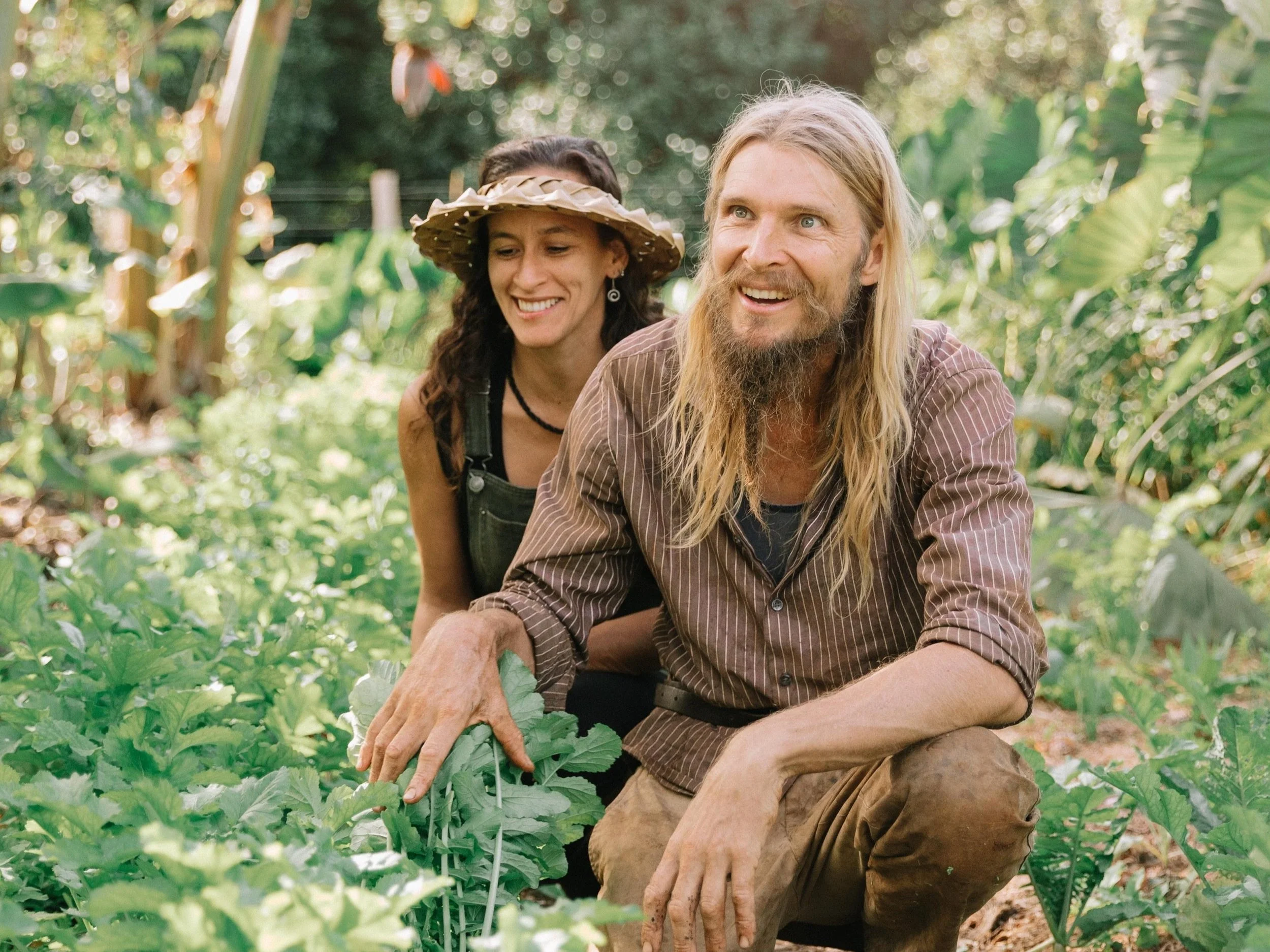 What's a Food Forest? 