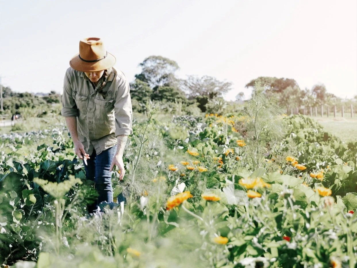 The Northern Rivers Farmer Incubator Program 