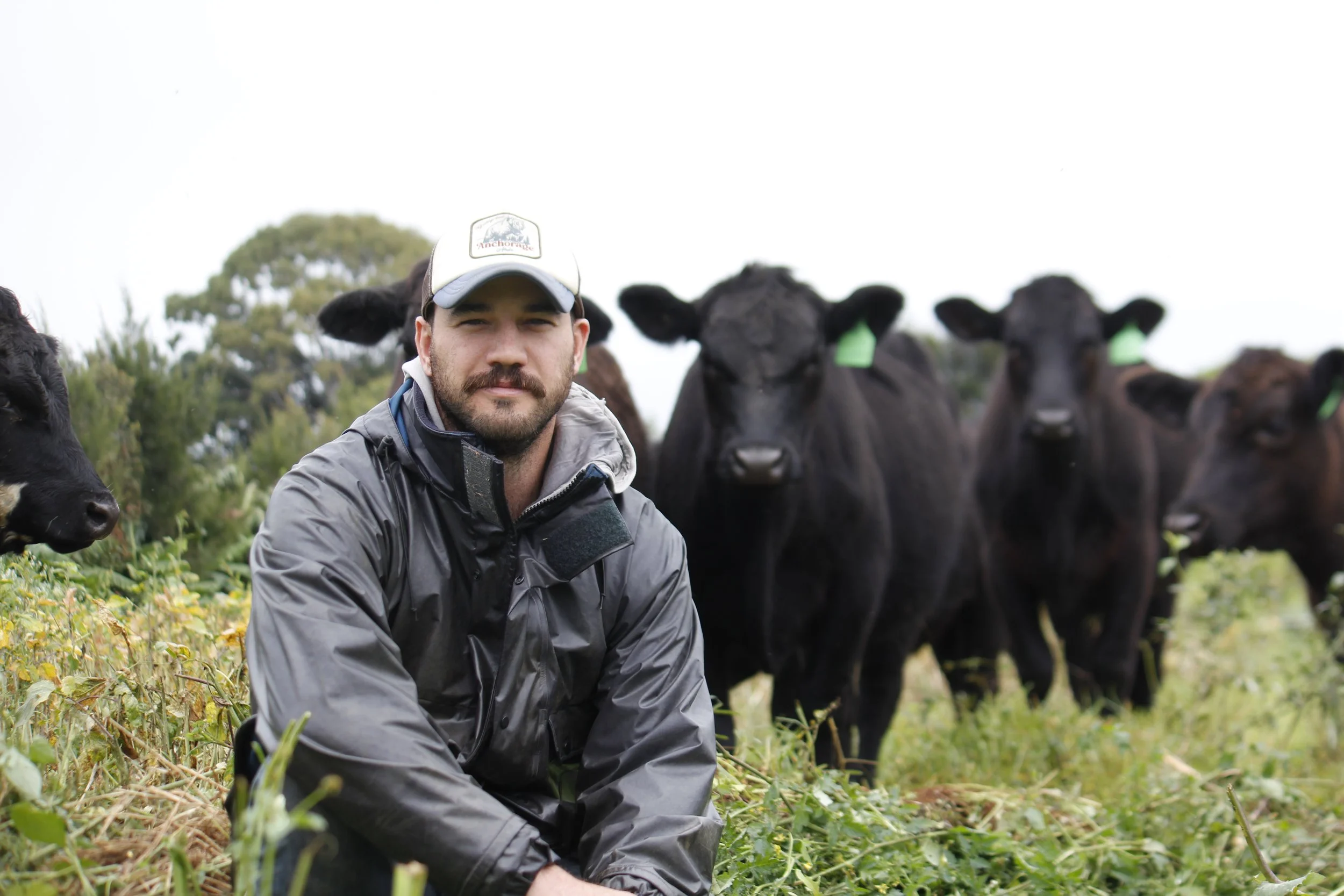 Holistic Planned Grazing with Jordy Mylrea