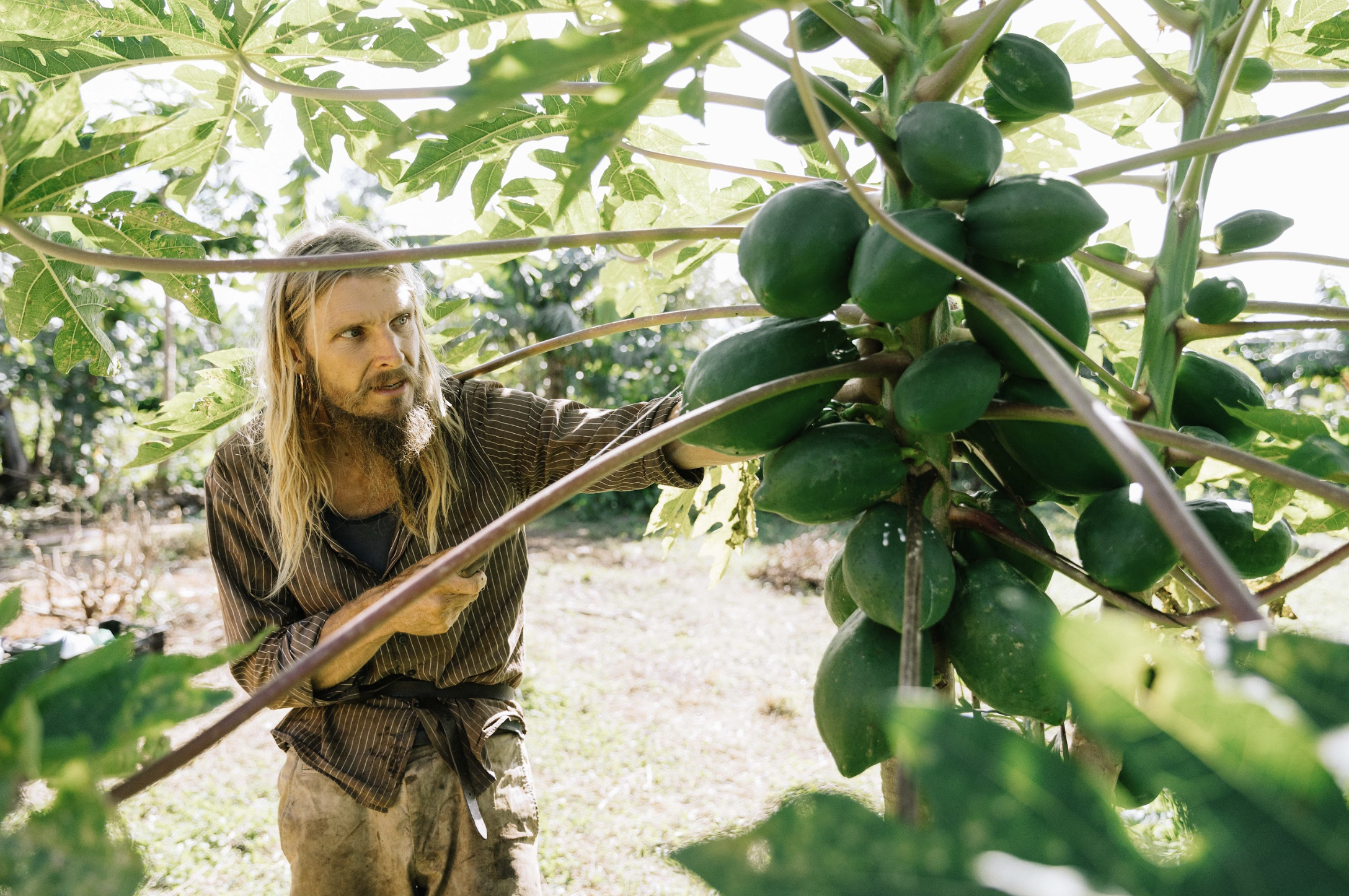 Food Forest Tour at The Farm
