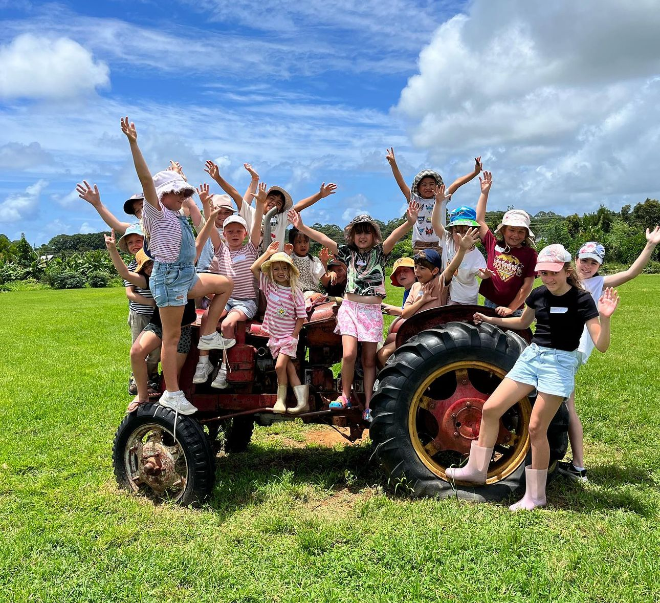 FARM KIDS | MINI FARMERS TERM 3 WORKSHOPS