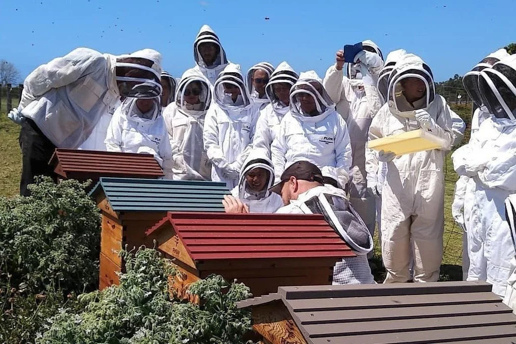 Flow Hive Taster - An Introduction to Keeping Bees In Your Backyard