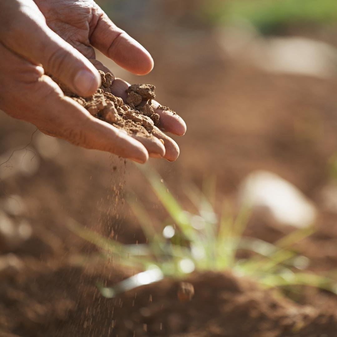 Join Us to Celebrate World Soil Day - "Creating Resilient Landscapes and Enhancing Vineyard (&amp; Farm) Biodiversity"