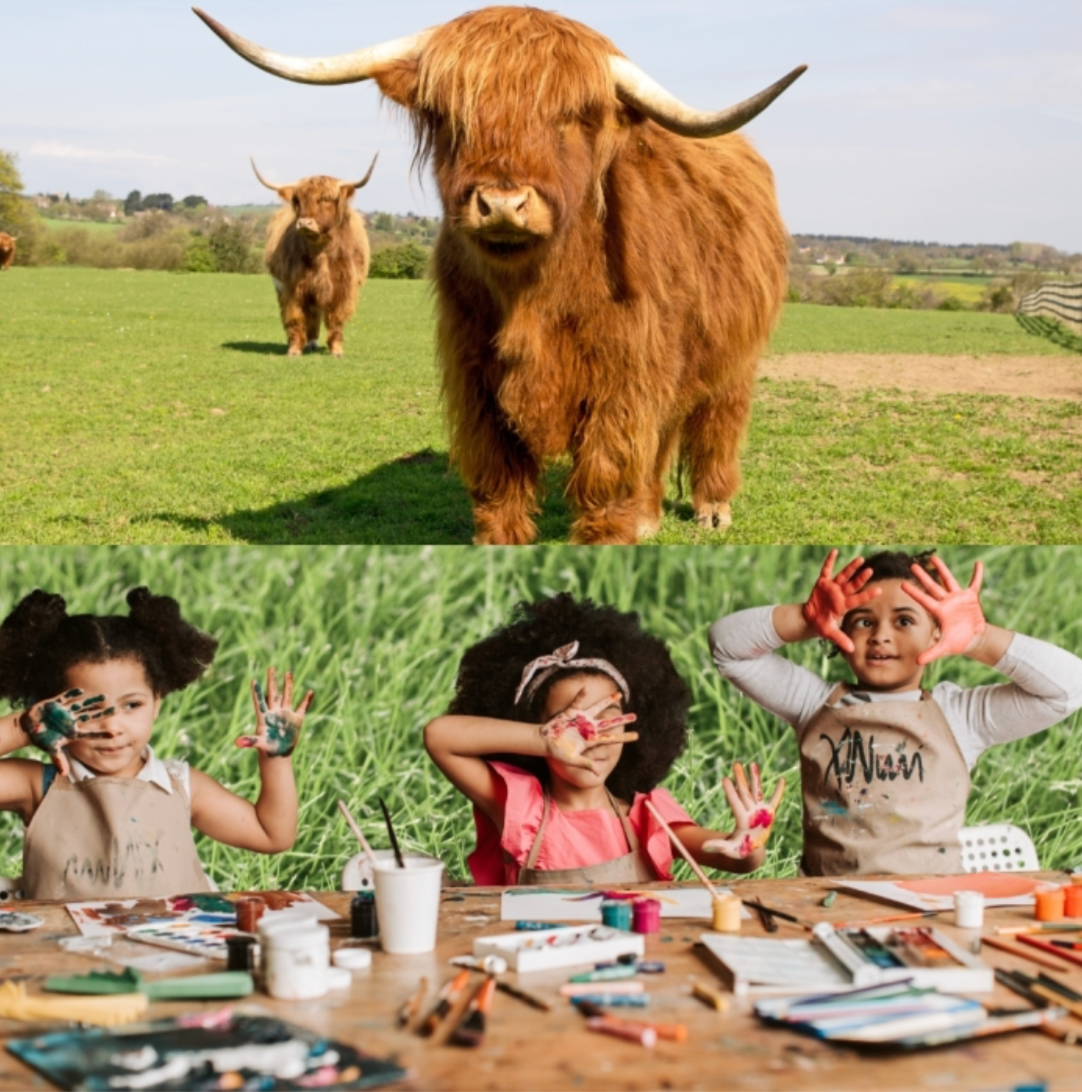 Home Makers Club - Painting The Paddock