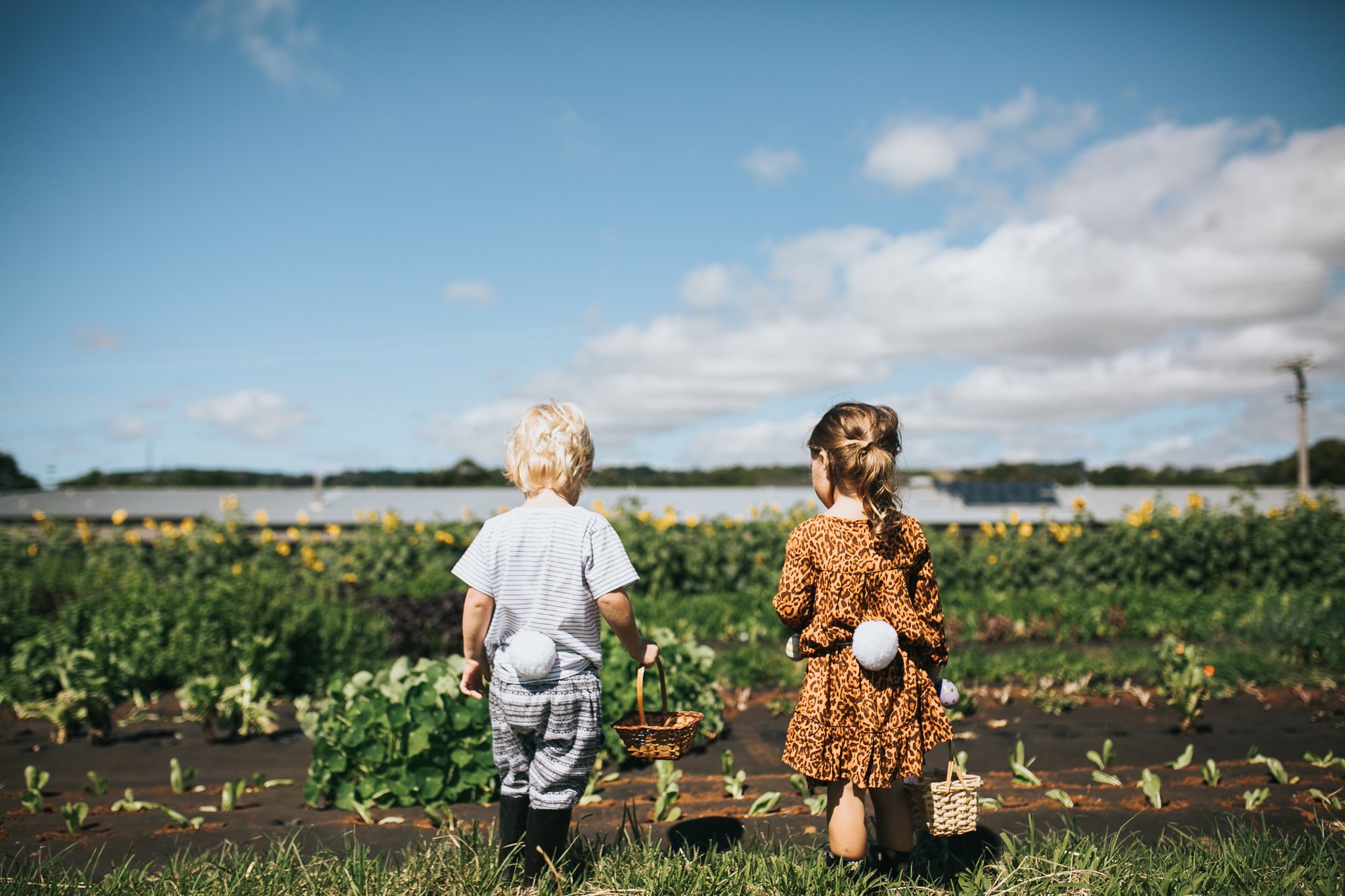 Easter Egg Hunt 2026