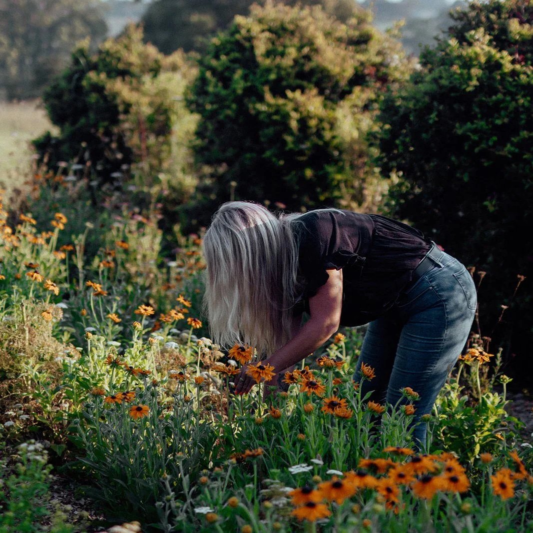 Poppy & Fern Grow Cut Flowers ~ Autumn