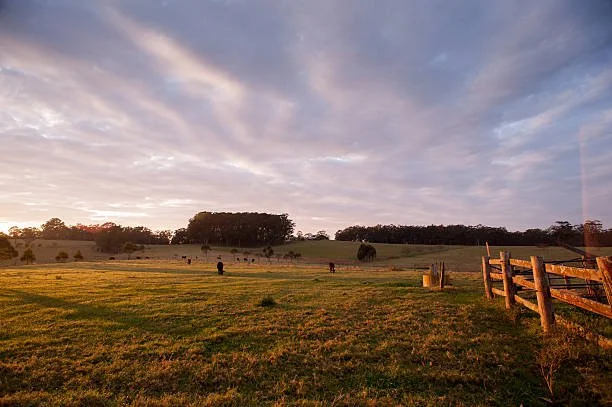 Public Meeting: Securing the Premium Meat Supply Chain for the Northern Rivers