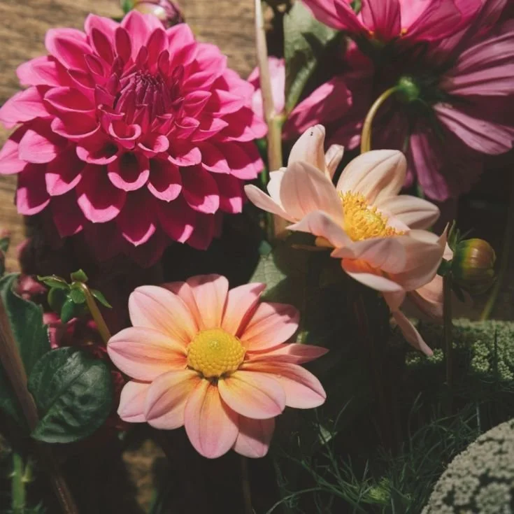 The Farm Byron Bay | EV Charging | Nurseries & Florists