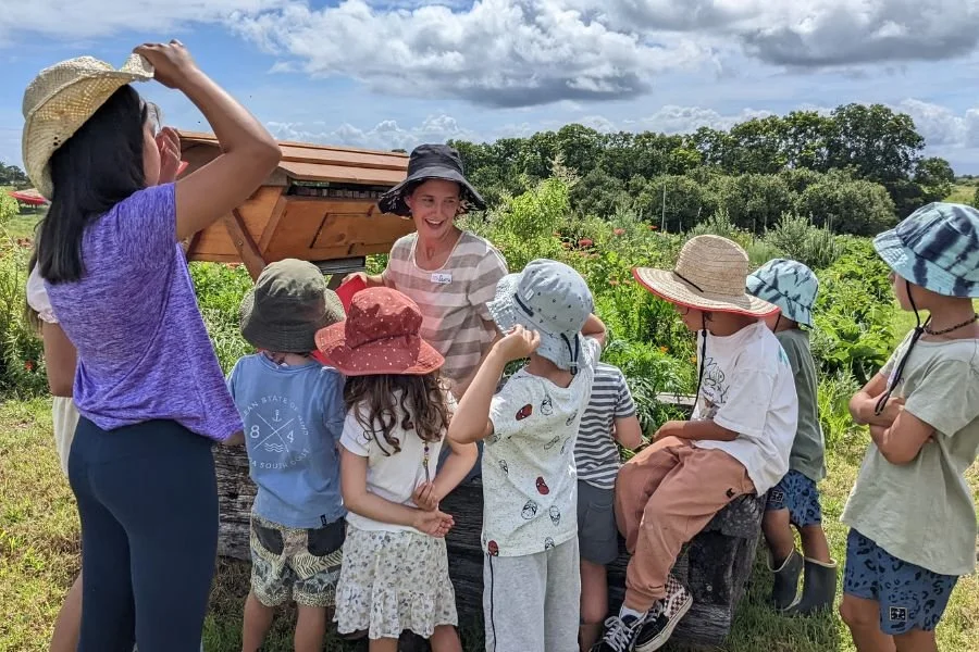FARM KIDS | BEES WORKSHOP