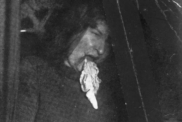 51178690_0.jpg