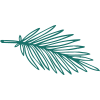 palm_6.png