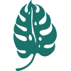 palm_9.png