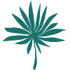 palm_8.png