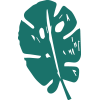 palm_7.png