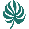 palm_2.png