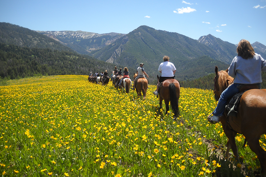 a tour group horseback riding near Yellowstone