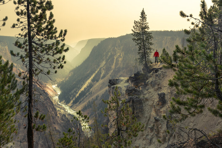 man overlooking the yellowstone river