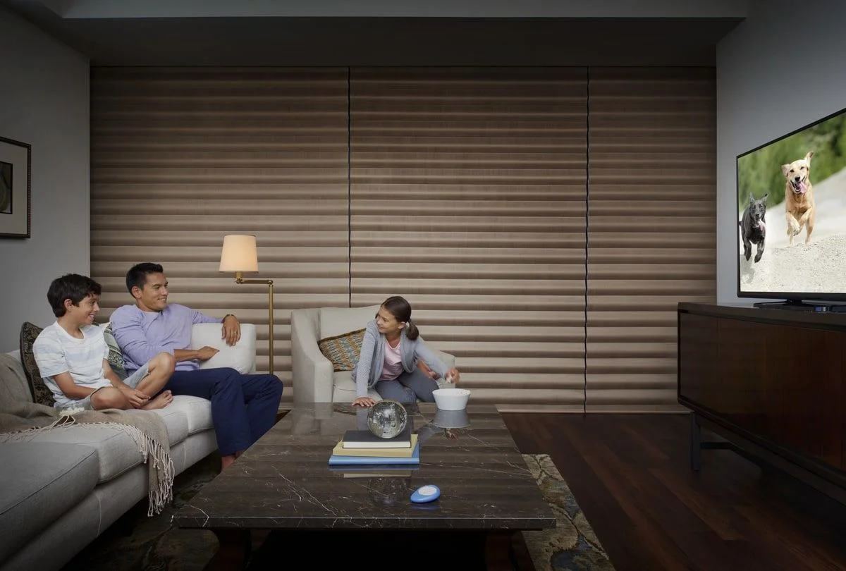 Black Out Blinds