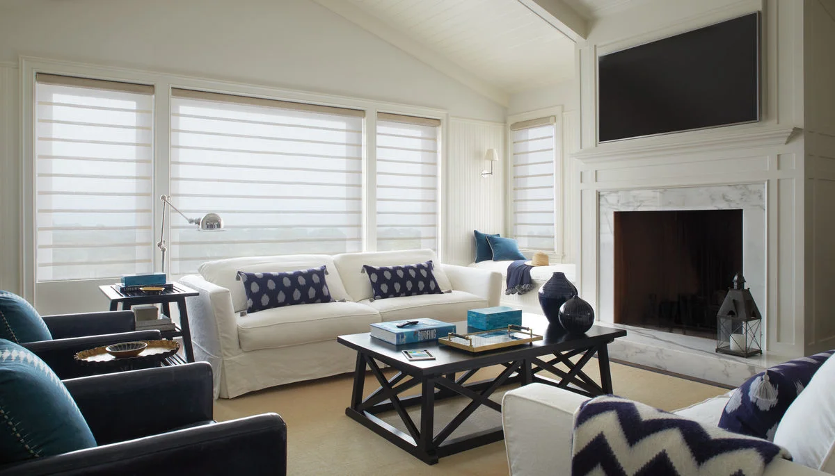 Sheer Roman Shades