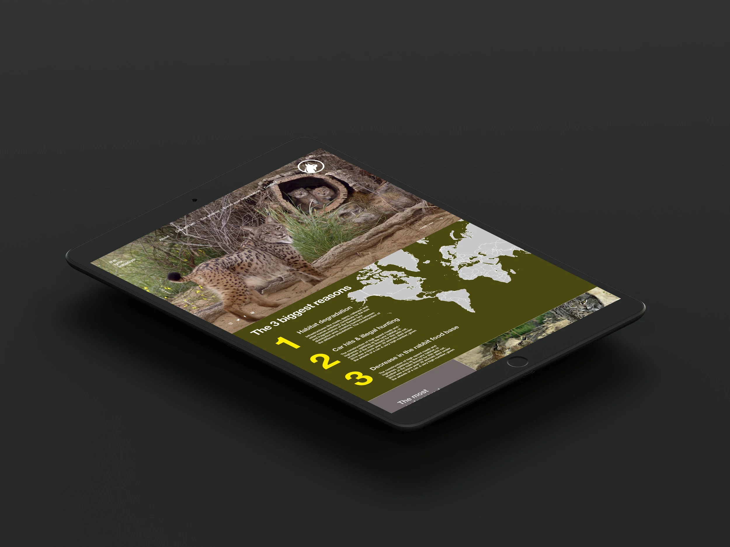 lynxipadblckmockup.jpg