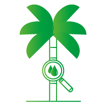 GA 19 Website_palm.png