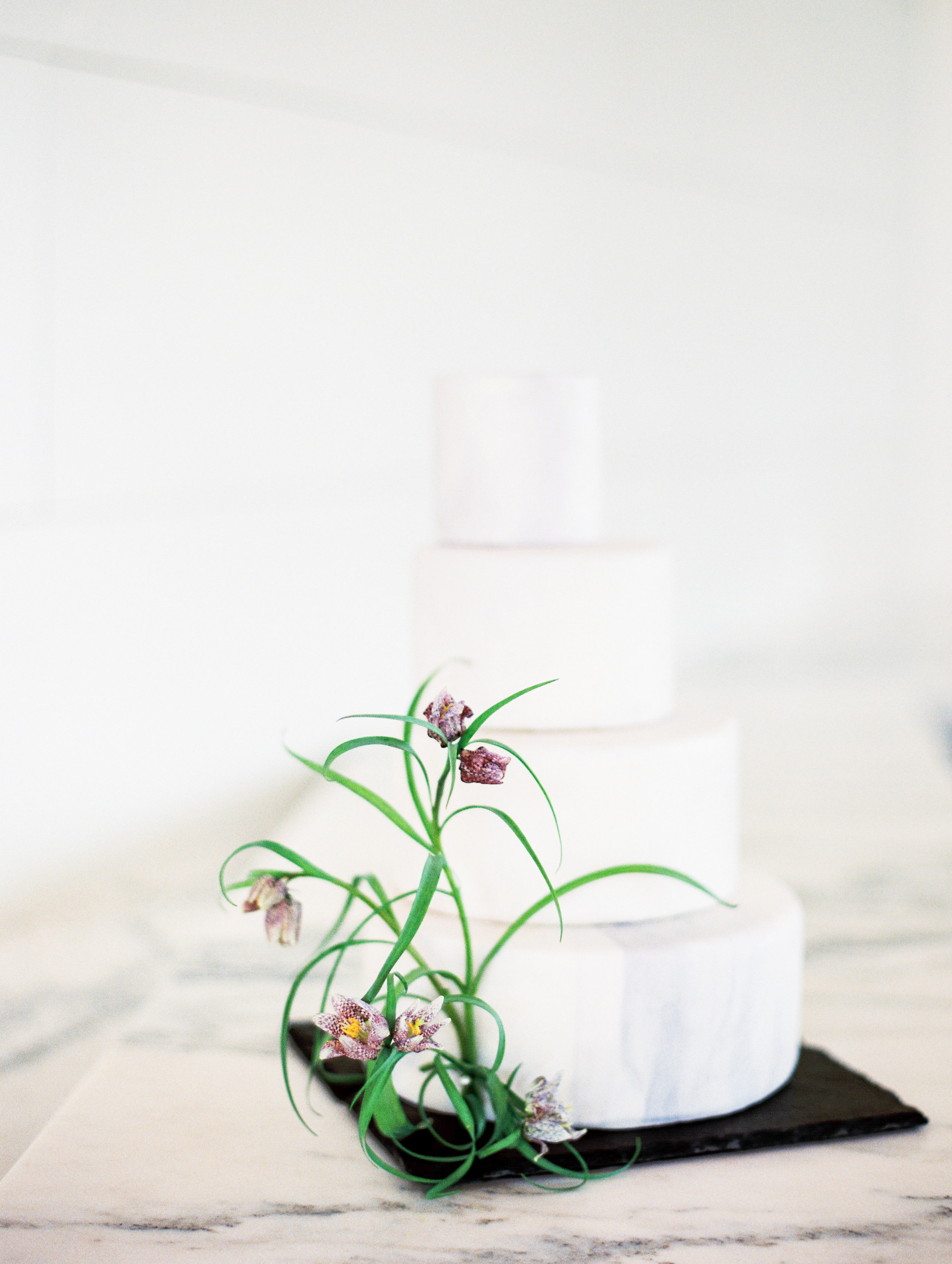 JordanBrittleyPhotography-225.jpg