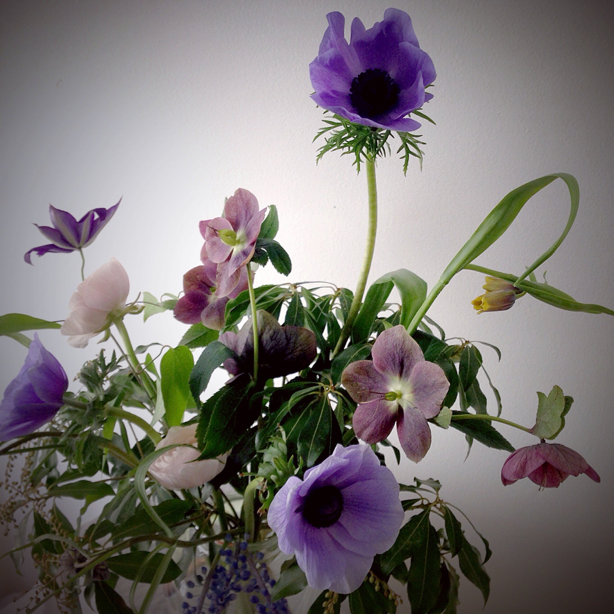 Purple floral arrangement with hellebore and anemone