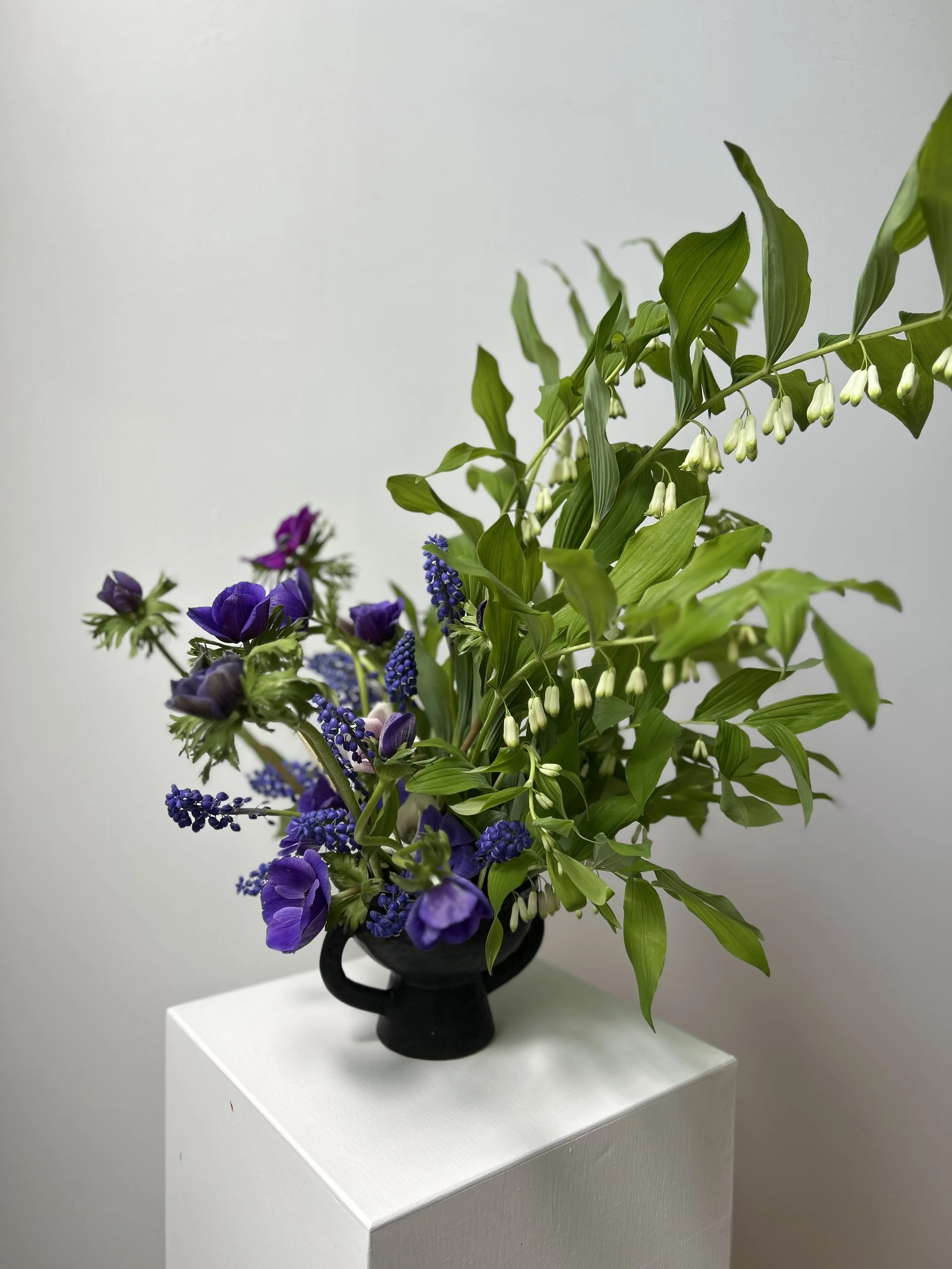 IMG_1673.jpeg