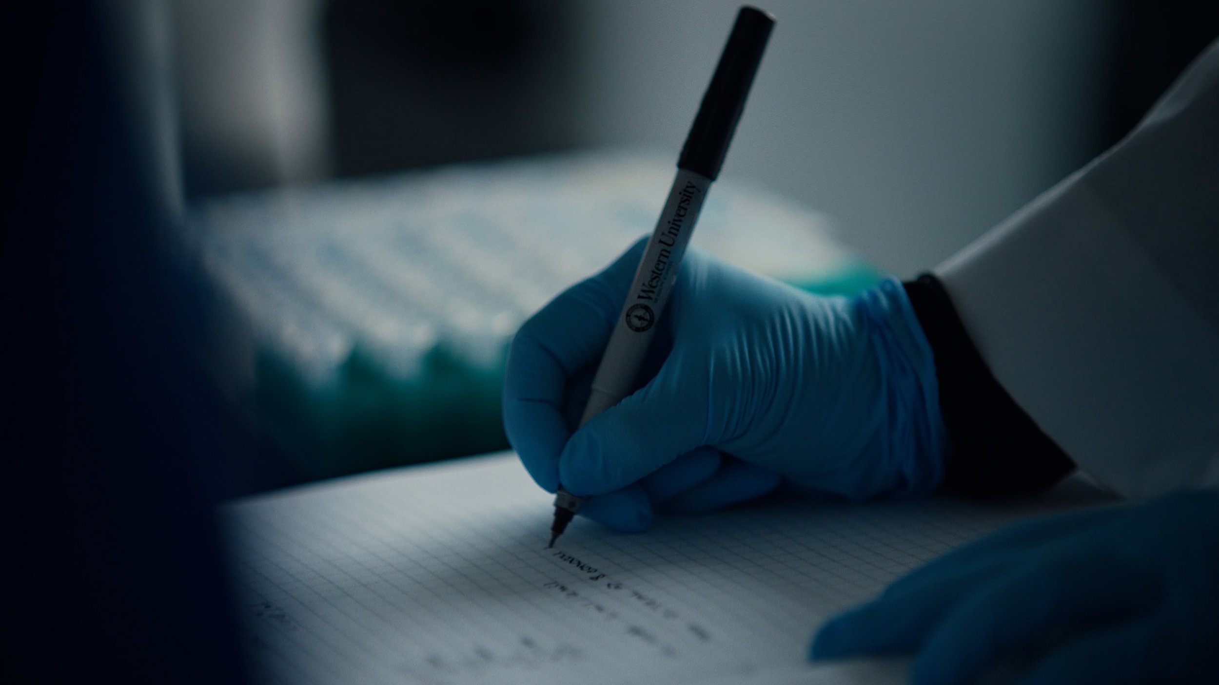 WU Pharmacy Frame-13.jpg