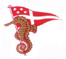 dyclogo2.png